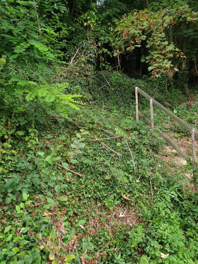 Вілла A Flanc De Colline Cormeilles  Екстер'єр фото